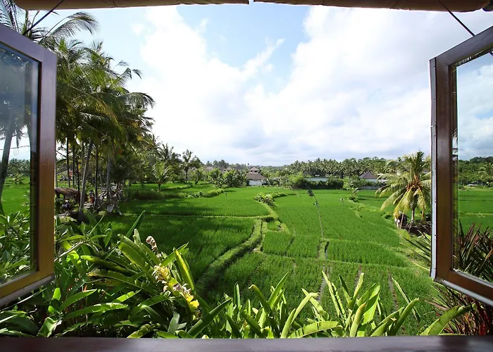 Satori Bali