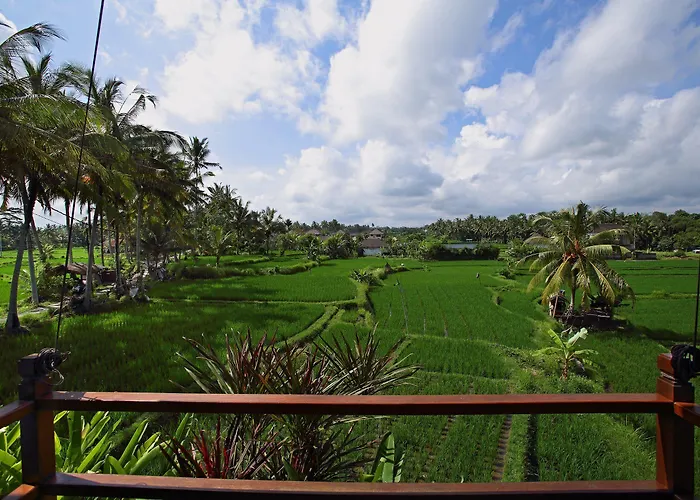 Satori Bali *