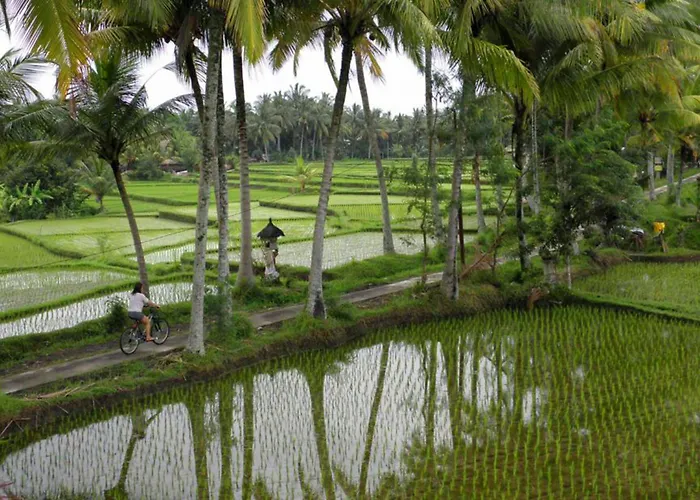 Satori Bali * Ubud