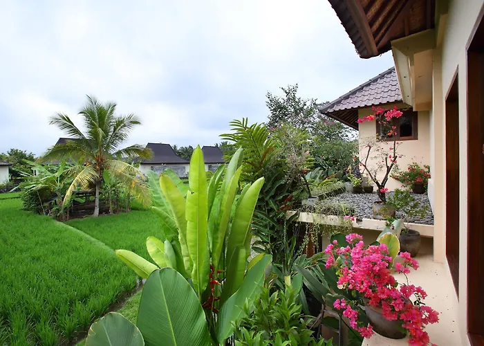Вилла Satori Bali