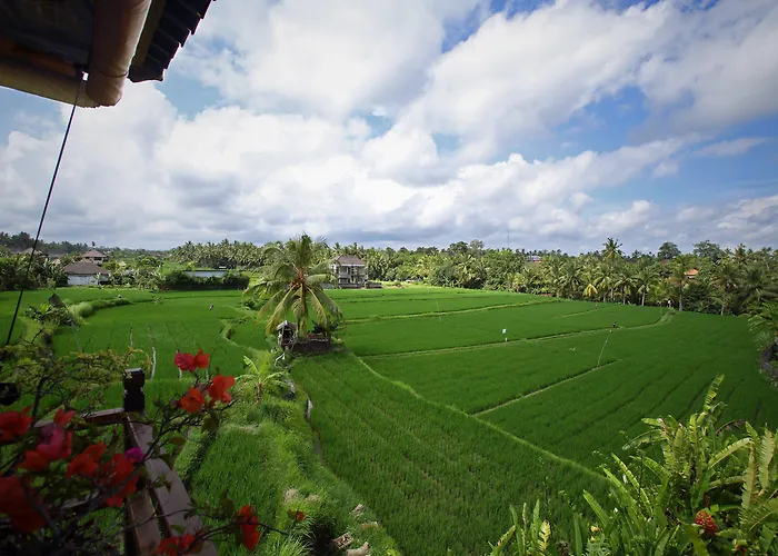 Satori Bali *