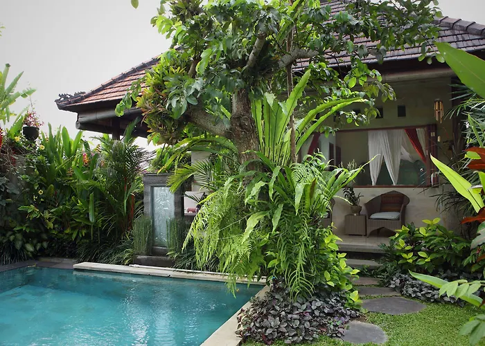 Satori Bali