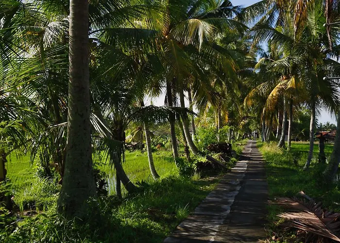 Satori Bali