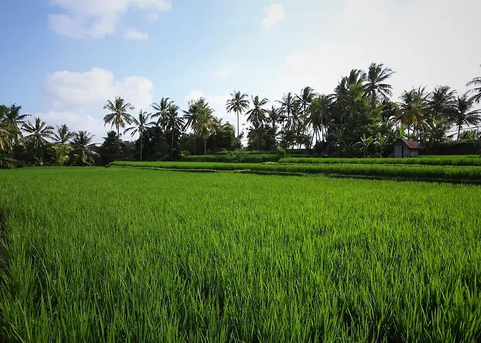Villa Satori Bali Ubud
